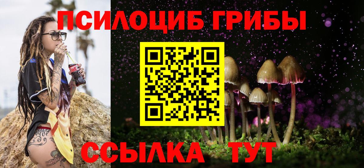 Псилоцибиновые грибы прущие грибы Балашов
